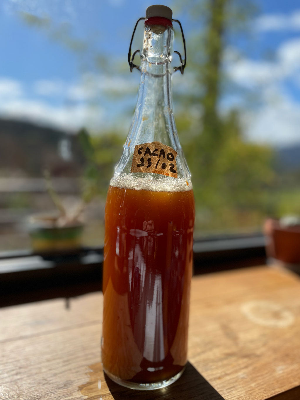 Kombucha au Cacao une boisson saine et bienfaisante qui fait du bien au microbiote