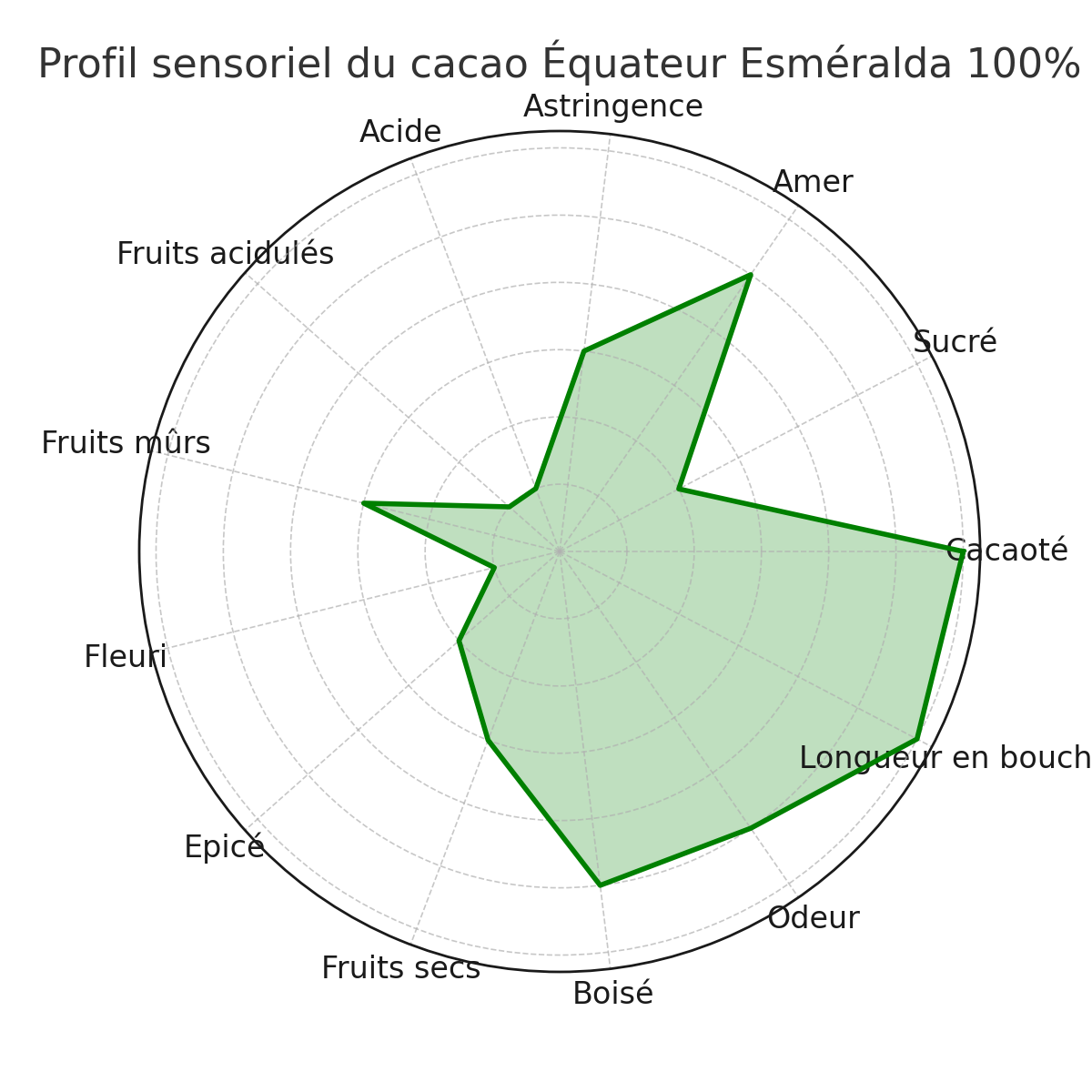 Chocolat 100% Equateur Esmeralda Cacao Bloc de 100g (sans sucre)