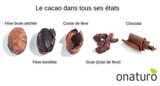 Bienfaits thérapeutiques du cacao en infusion, scientifiquement prouvés