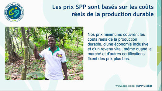 Cacao équitable : comment lire les labels SPP, Fairtrade ?