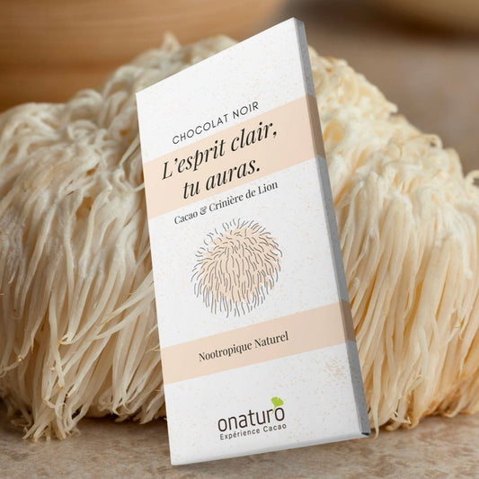 Chocolat aux champignons Crinière de Lion, bon pour la concentration